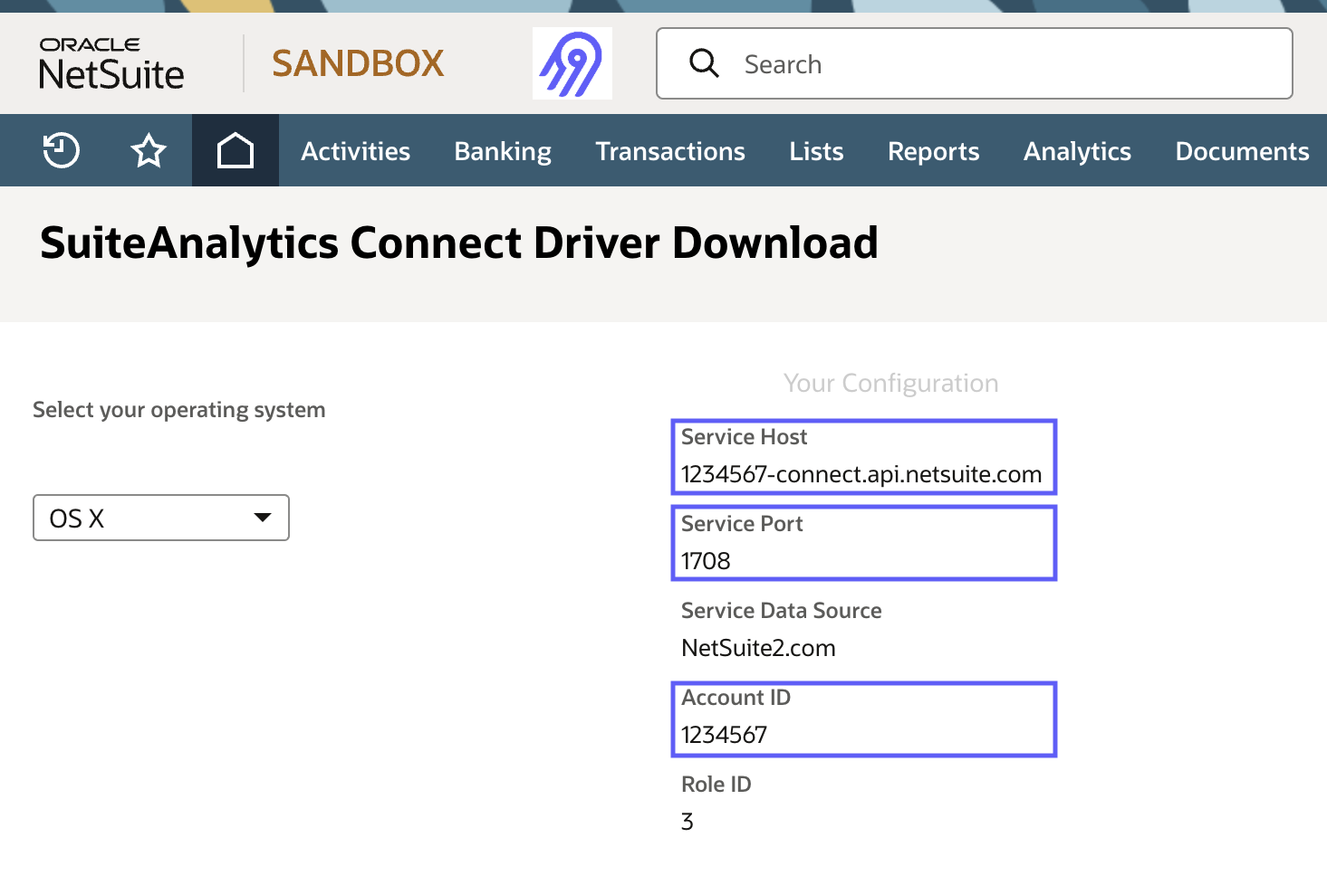 NetSuite Setup